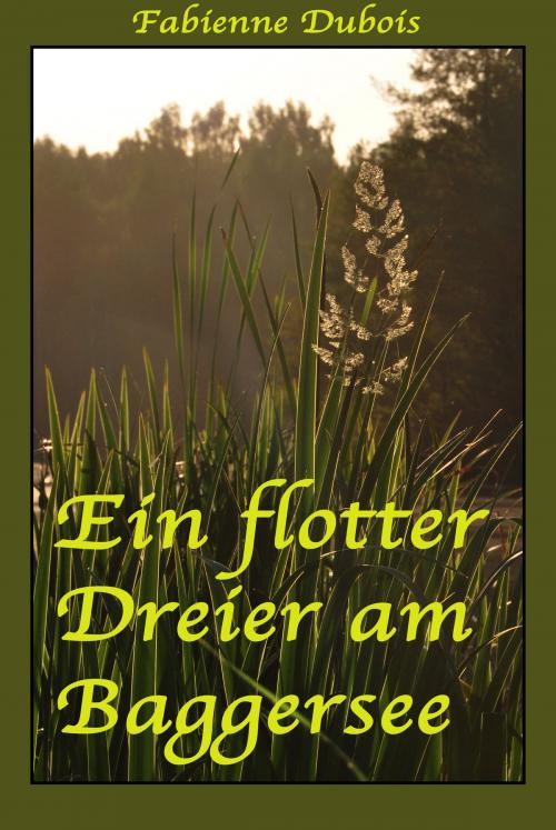 Cover of the book Ein flotter Dreier am Baggersee by Fabienne Dubois, Der Neue Morgen - UW