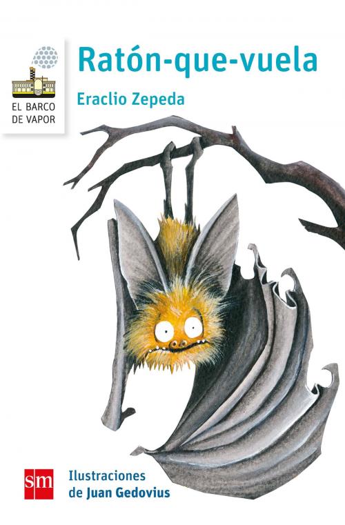Cover of the book Ratón-que-vuela by Eraclio Zepeda, Juan Gedovius, Ediciones SM