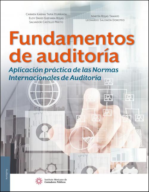 Cover of the book Fundamentos de auditoría. Aplicación práctica de las Normas Internacionales de Auditoría by Carmen Karina Tapia Iturriaga, IMCP