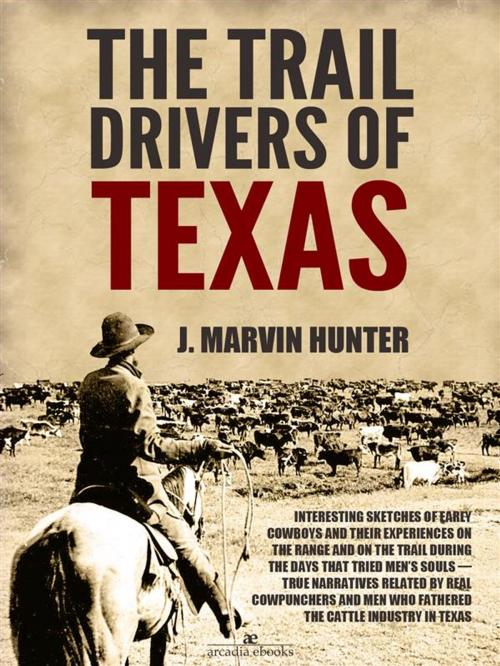 Cover of the book The Trail Drivers of Texas: Interesting Sketches of Early Cowboys by J. Marvin Hunter, Arcadia Press