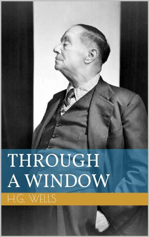 Cover of the book Through a Window by Herbert George Wells, Paperless