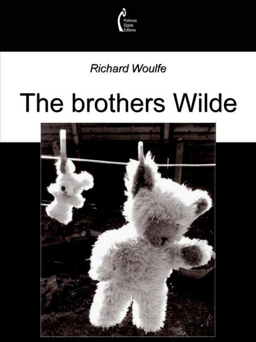 Cover of the book The brothers Wilde by Richard Woulfe, Polimnia Digital Editions
