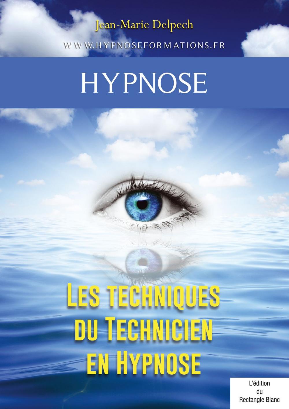 Big bigCover of Les techniques du Technicien en Hypnose