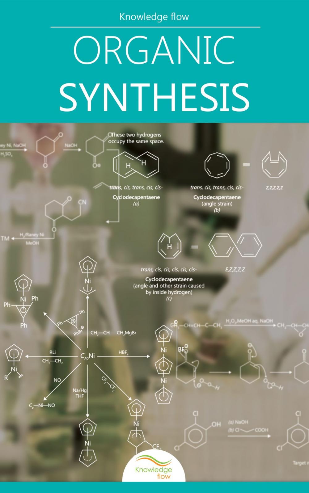 Big bigCover of Introduction to Organic Synthesis