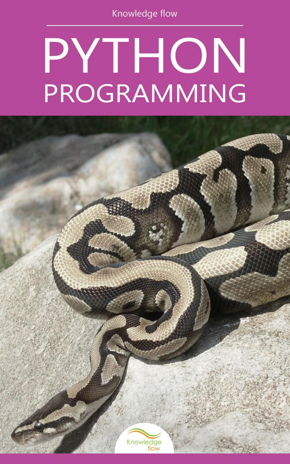Big bigCover of Python Programming