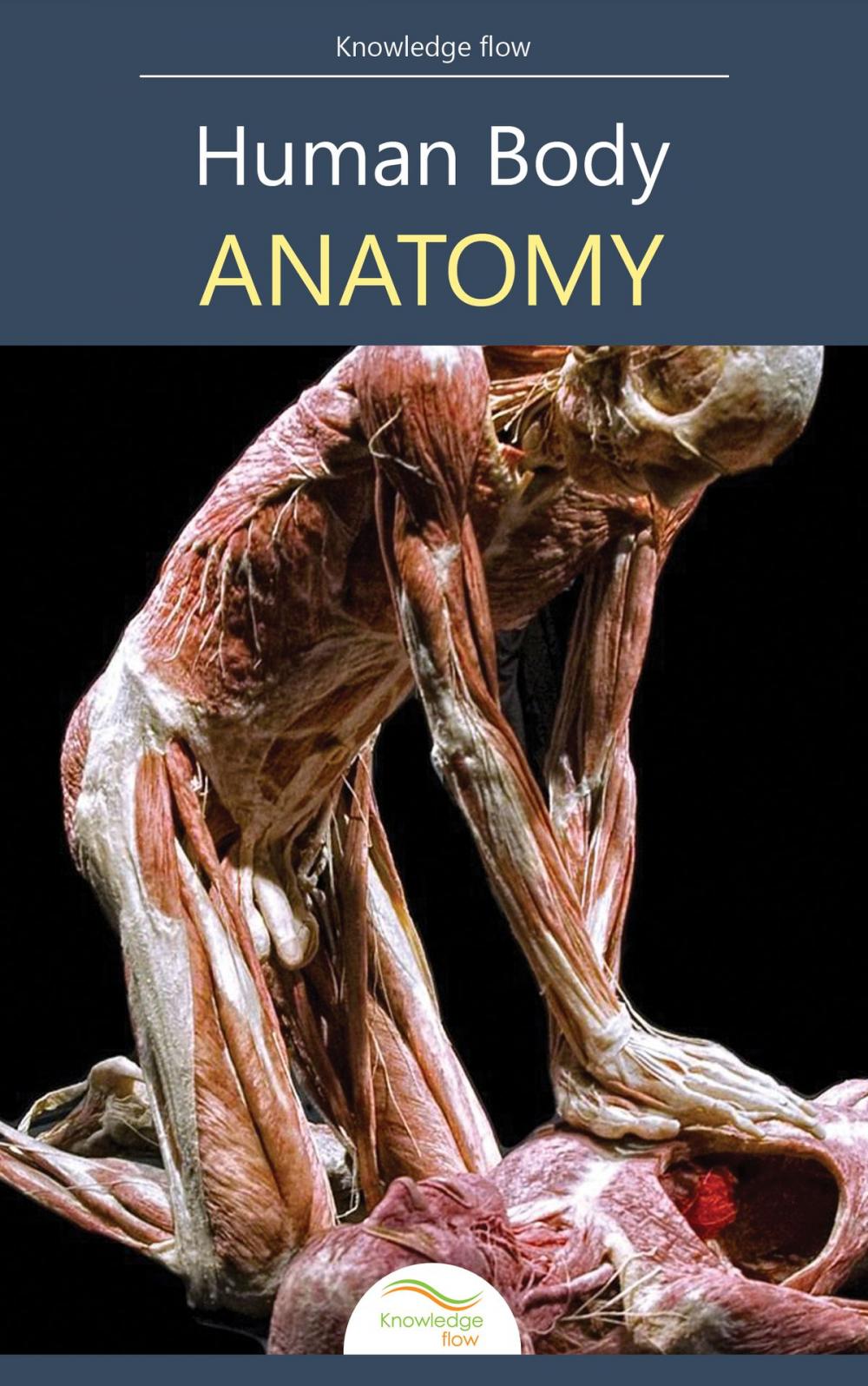 Big bigCover of Human Body Anatomy