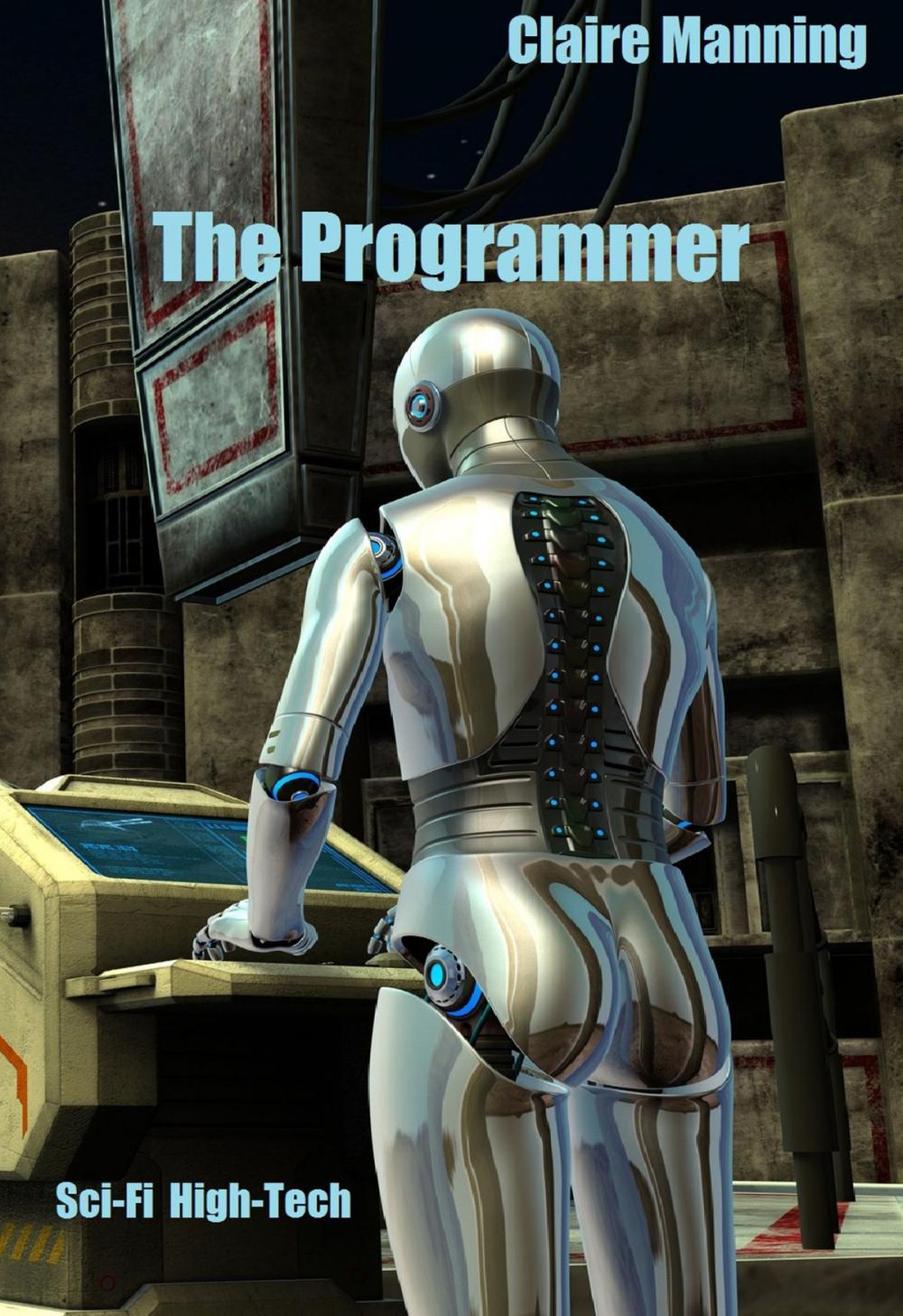 Big bigCover of The Programmer