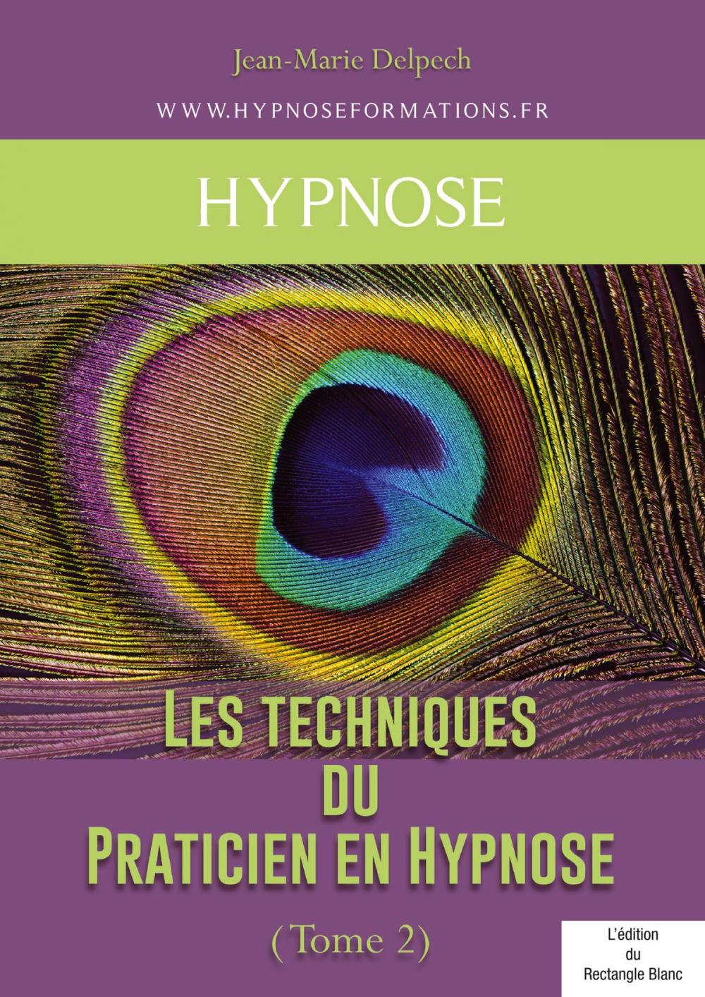 Big bigCover of Les techniques du Praticien en Hypnose (Tome 2)