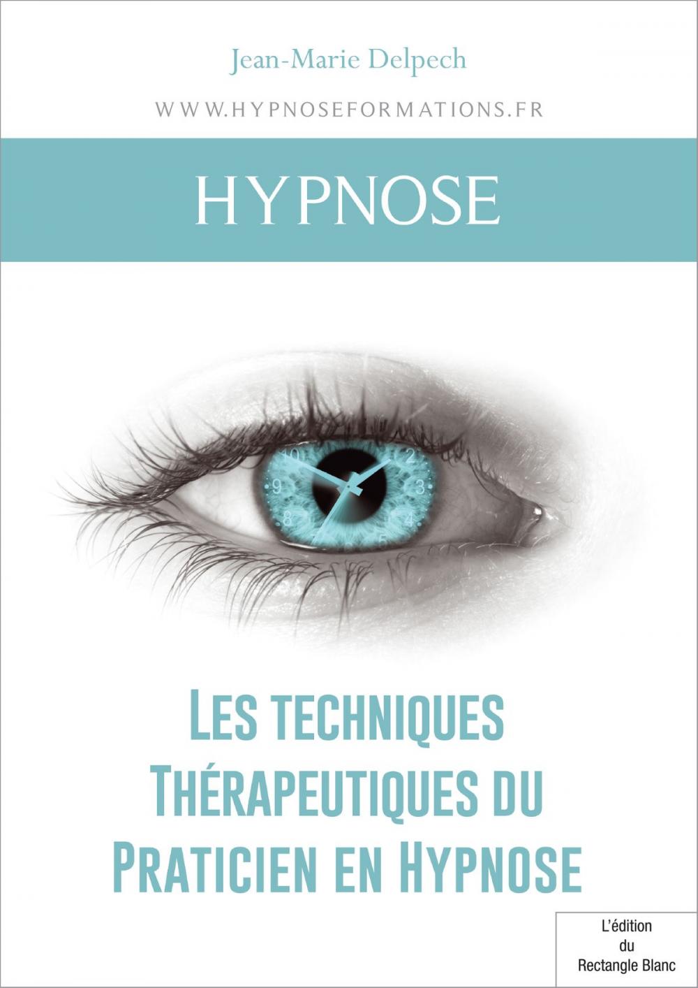 Big bigCover of Les techniques Thérapeutiques du Praticien en Hypnose