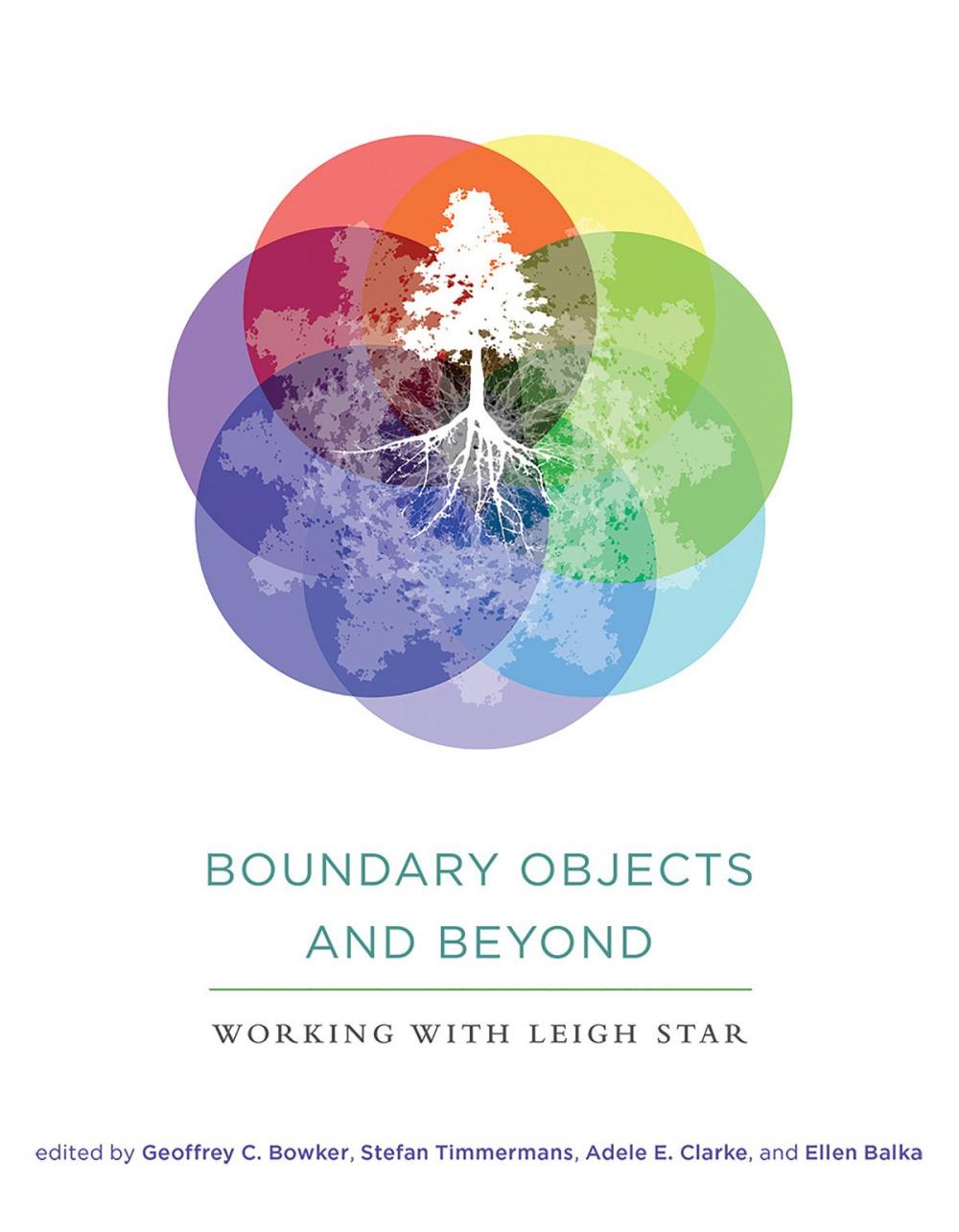 Big bigCover of Boundary Objects and Beyond