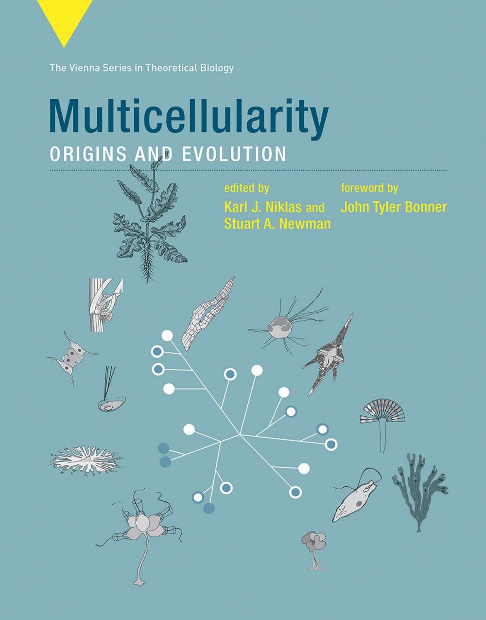 Big bigCover of Multicellularity