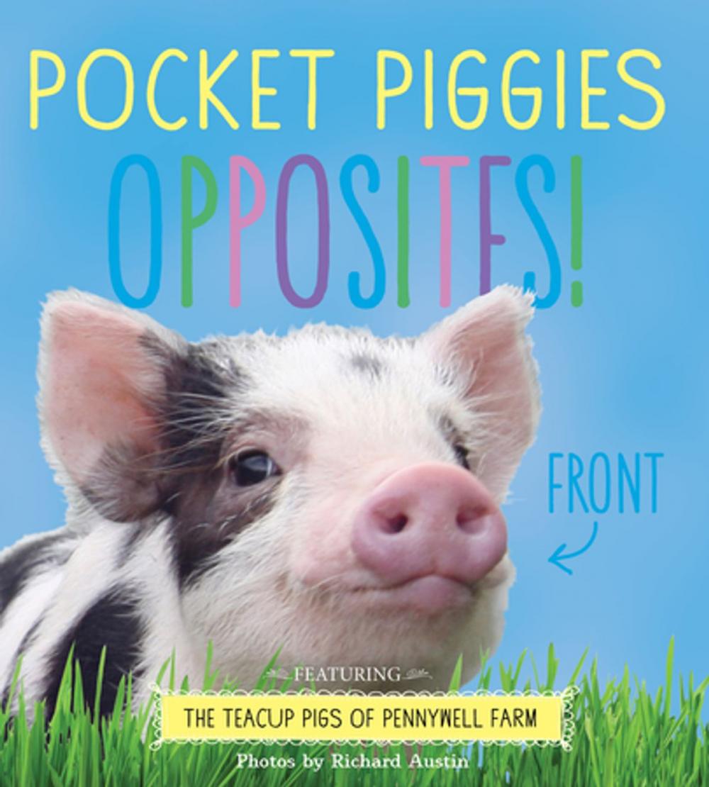 Big bigCover of Pocket Piggies Opposites!