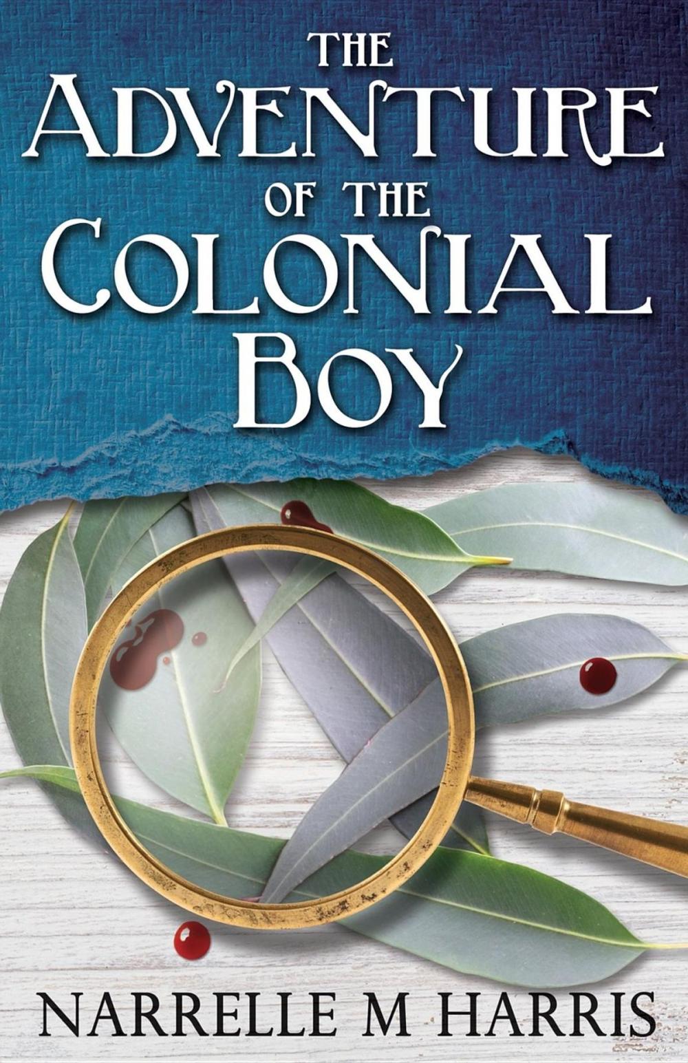 Big bigCover of The Adventure of the Colonial Boy
