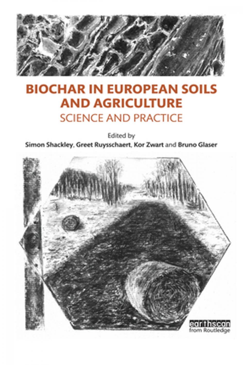 Big bigCover of Biochar in European Soils and Agriculture