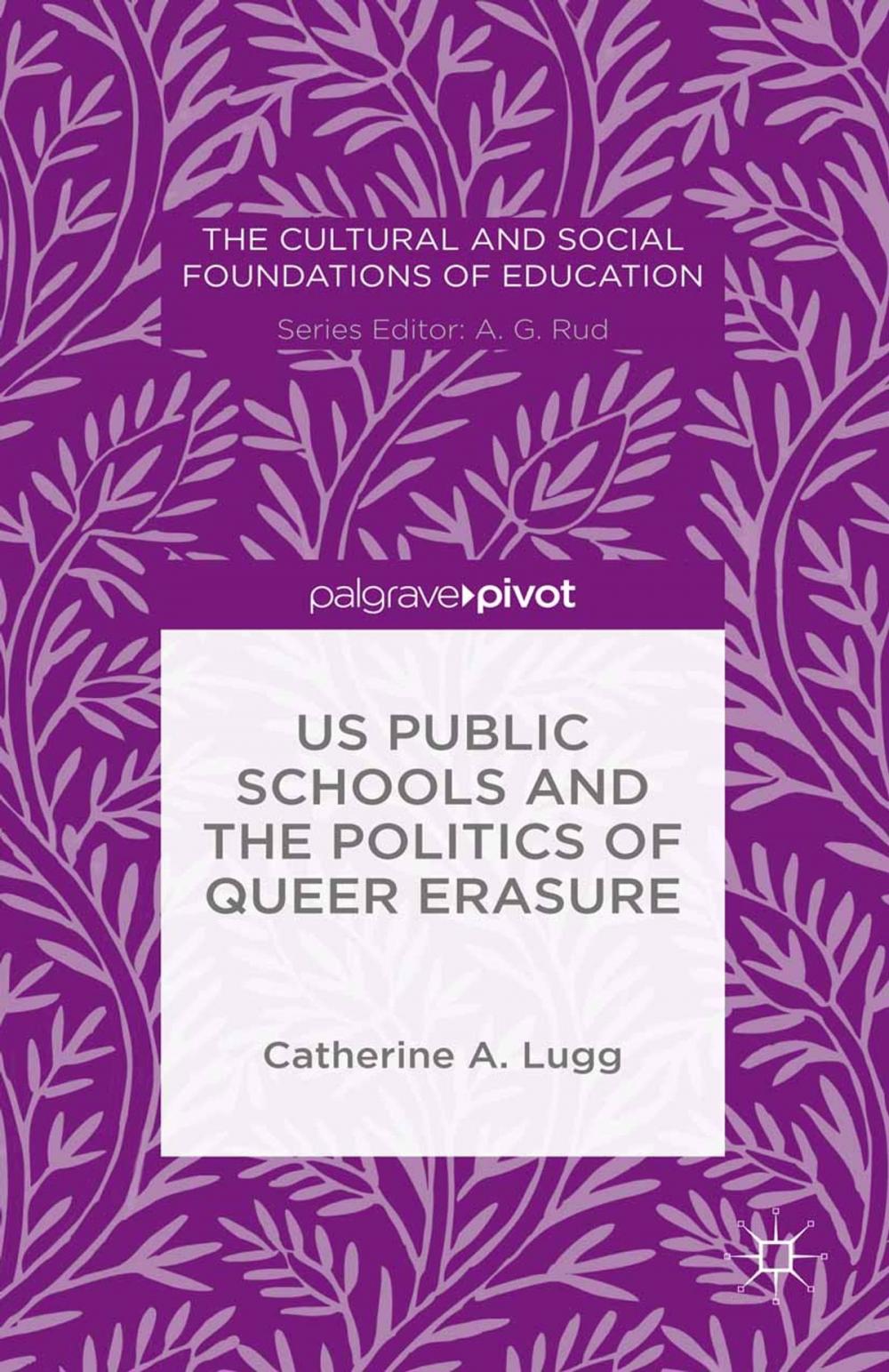Big bigCover of US Public Schools and the Politics of Queer Erasure