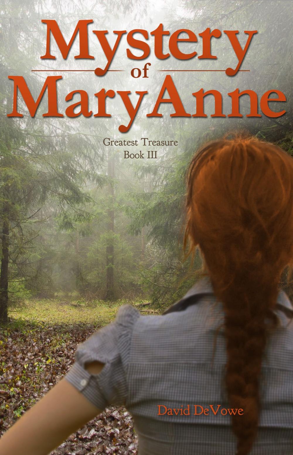 Big bigCover of Mystery of MaryAnne