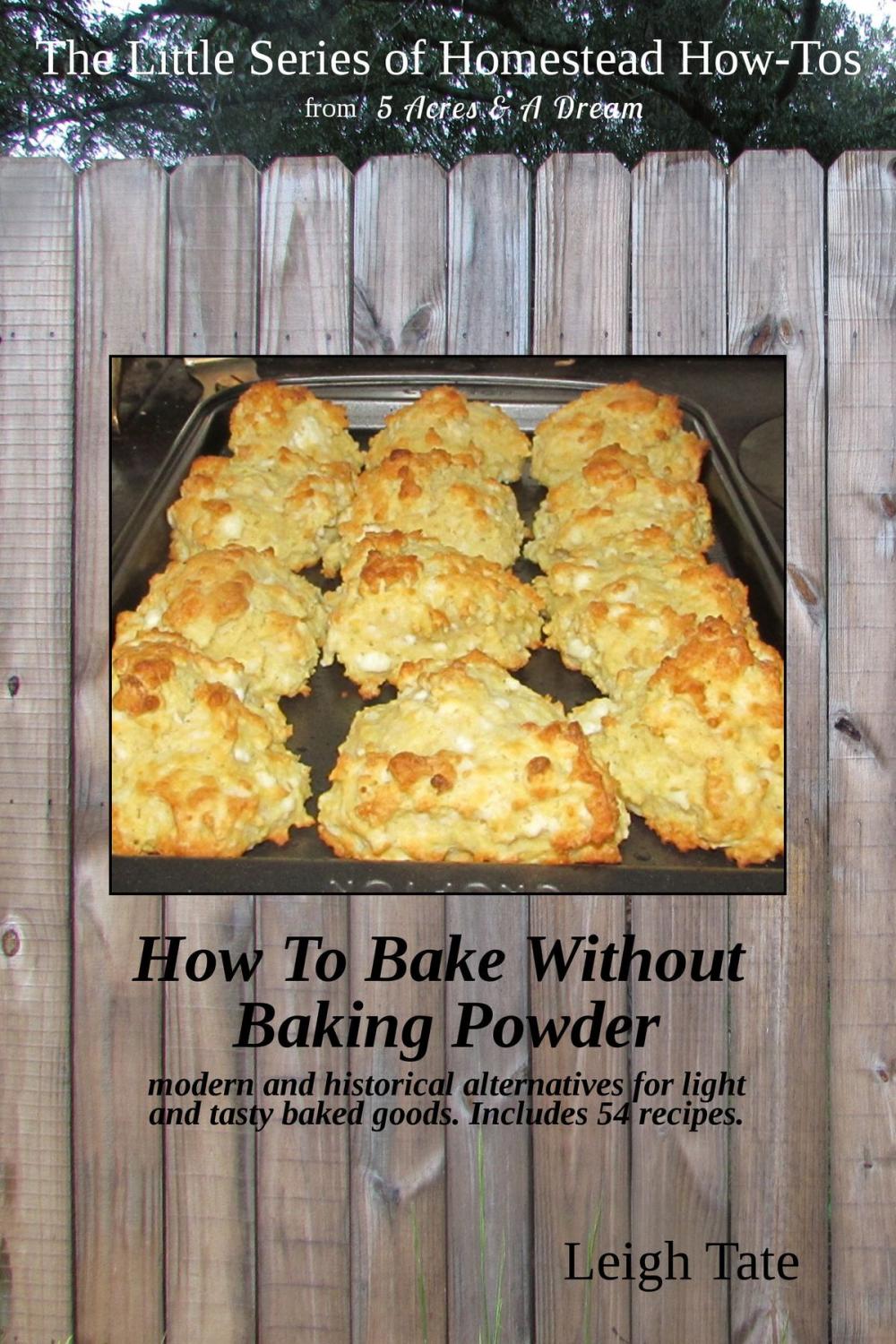 Big bigCover of How To Bake Without Baking Powder: Modern and Historical Alternatives for Light and Tasty Baked Goods
