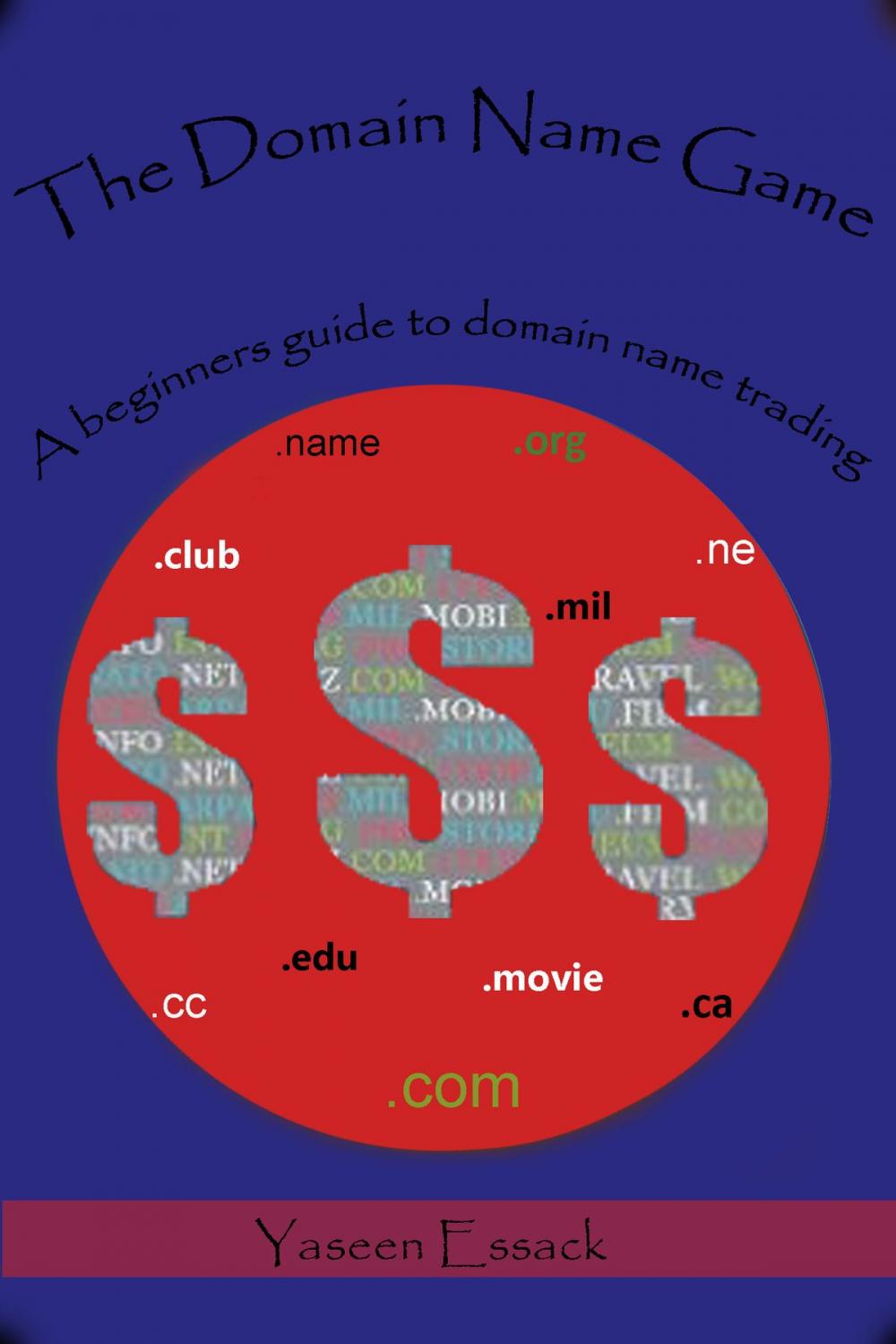Big bigCover of The Domain Name Game