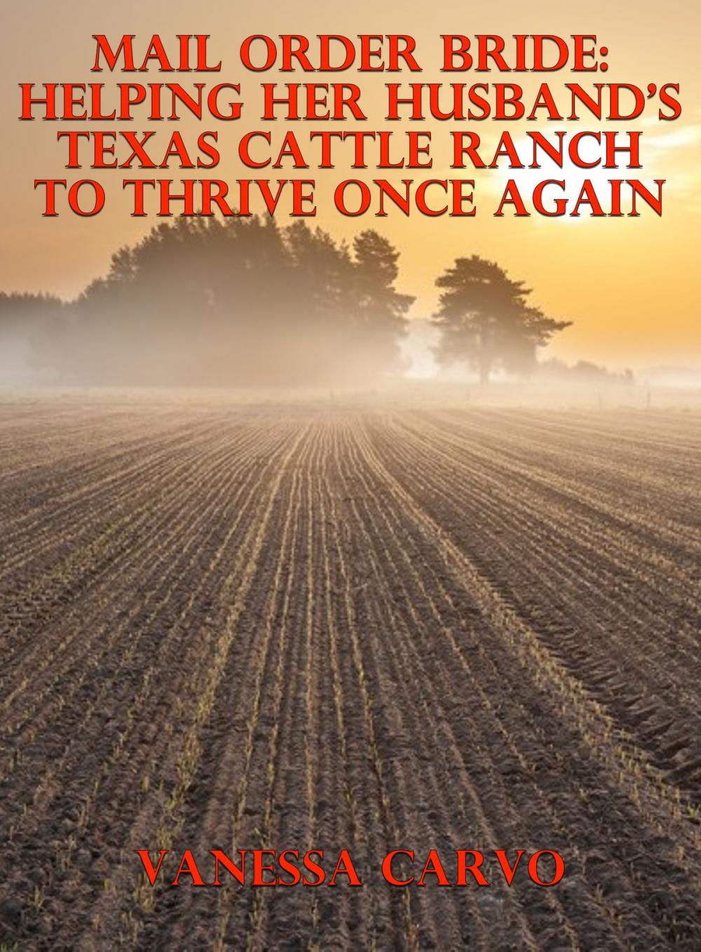 Big bigCover of Mail Order Bride: Helping Her Husband’s Texas Cattle Ranch To Thrive Once Again