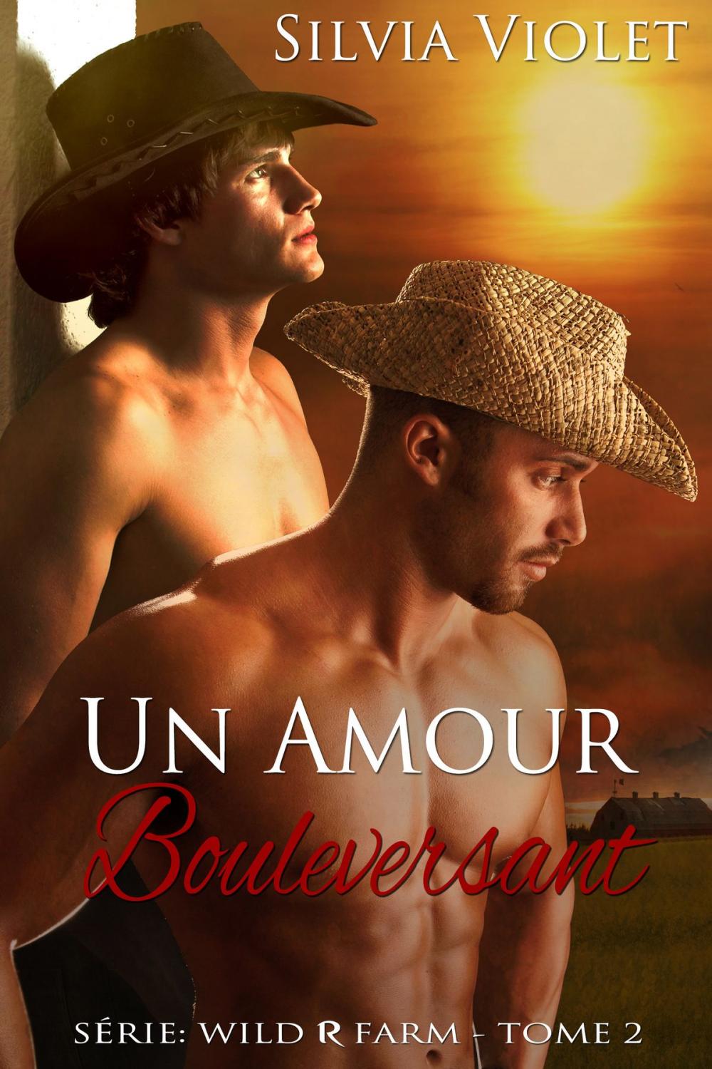 Big bigCover of Un Amour Bouleversant