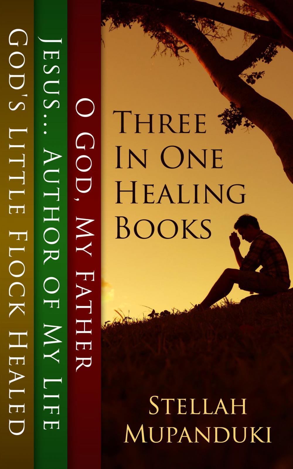 Big bigCover of Three In One Healing Books
