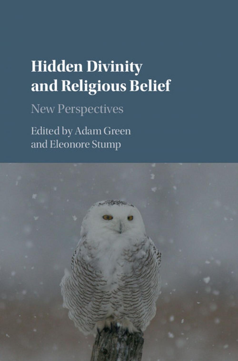Big bigCover of Hidden Divinity and Religious Belief
