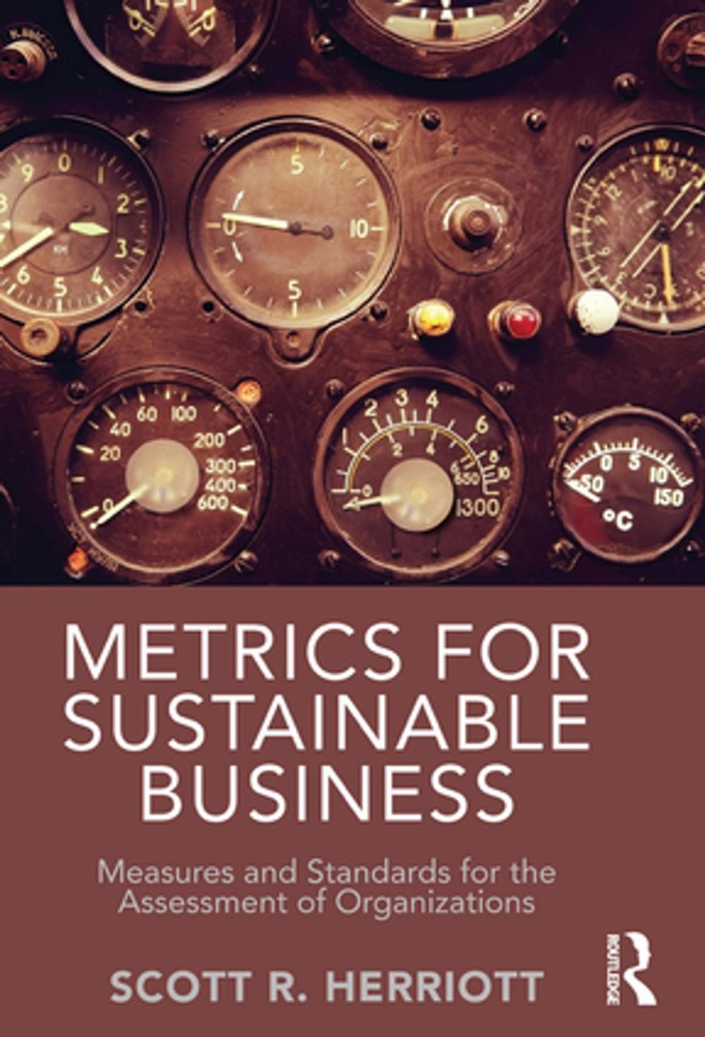 Big bigCover of Metrics for Sustainable Business