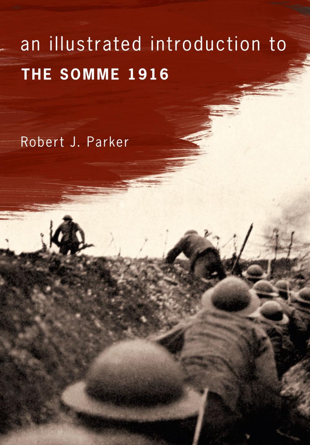 Big bigCover of An Illustrated Introduction to the Somme 1916
