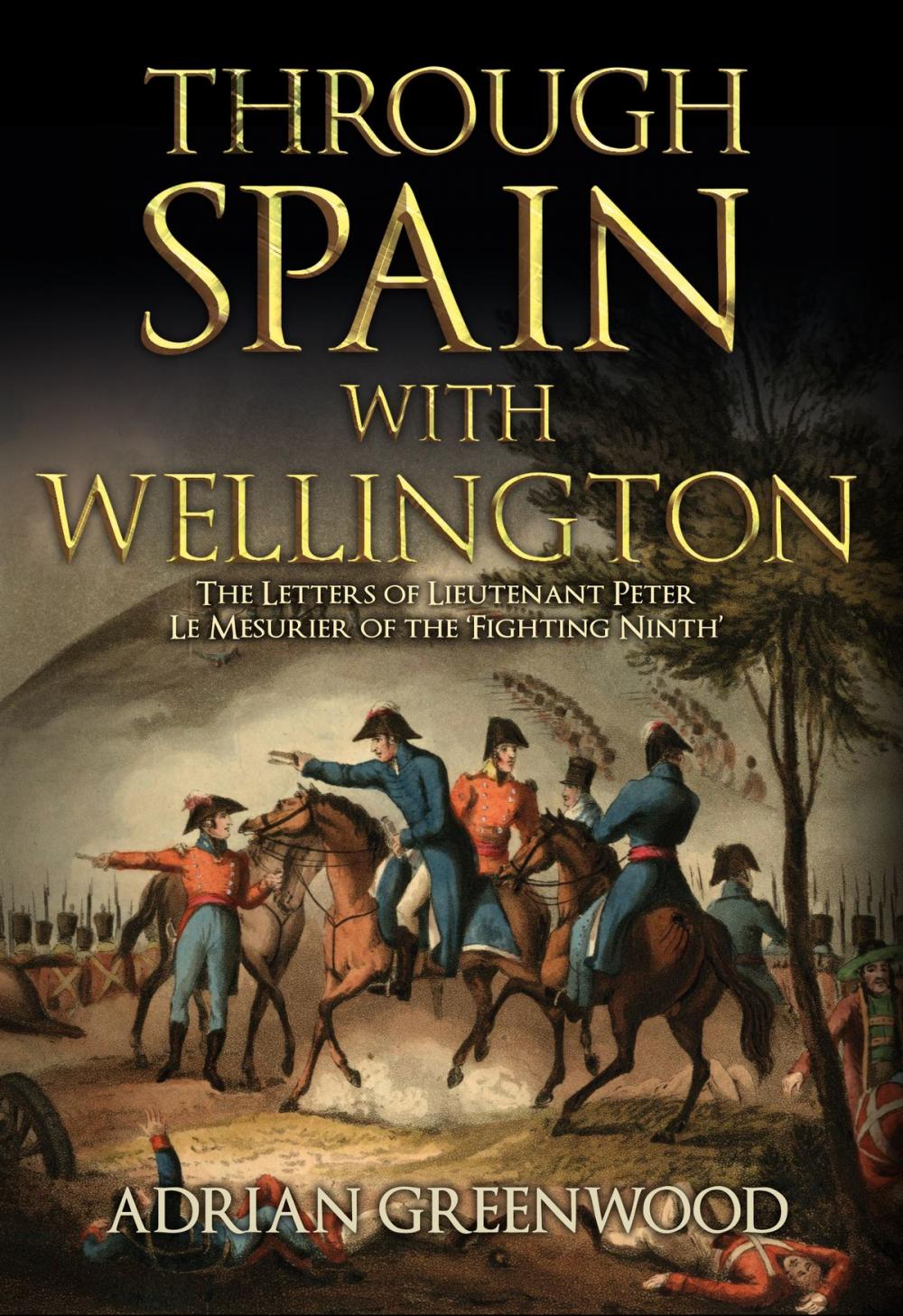 Big bigCover of Through Spain with Wellington