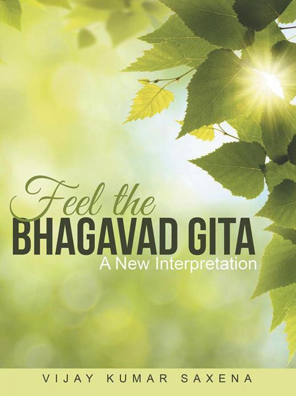 Big bigCover of Feel the Bhagavad Gita