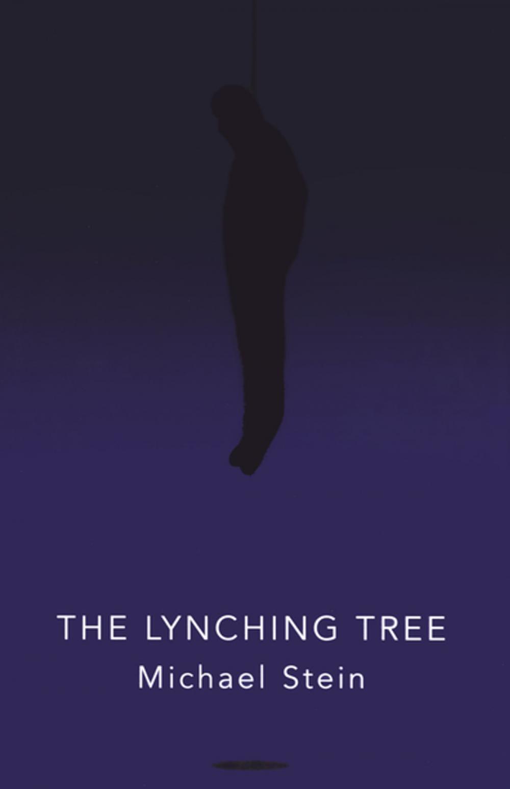 Big bigCover of The Lynching Tree