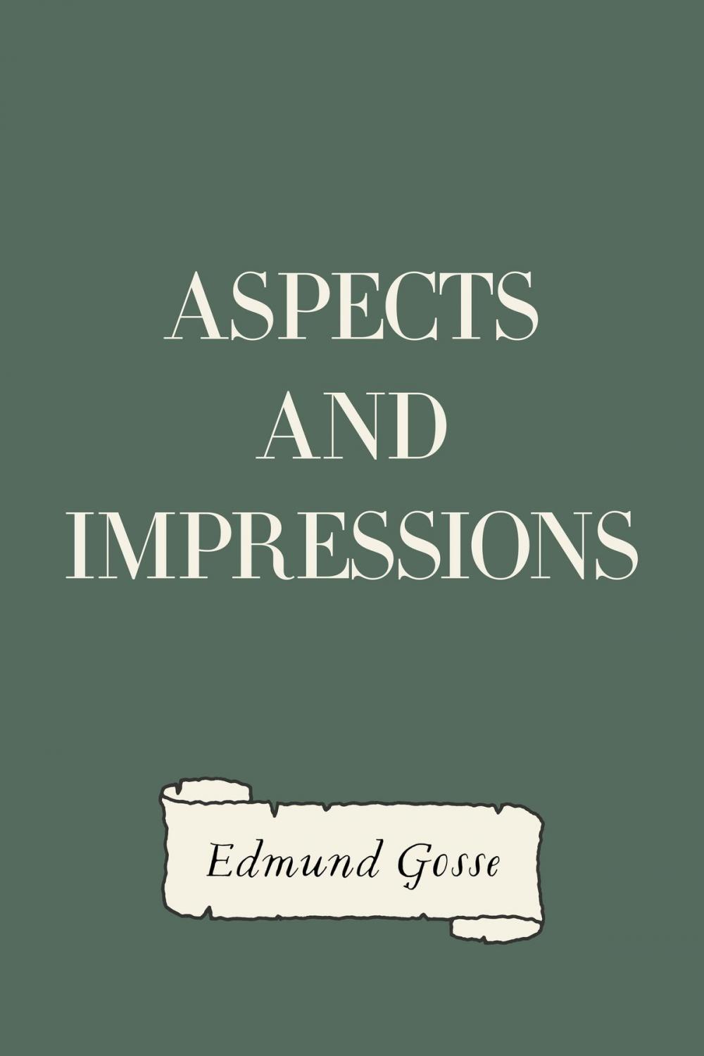 Big bigCover of Aspects and Impressions