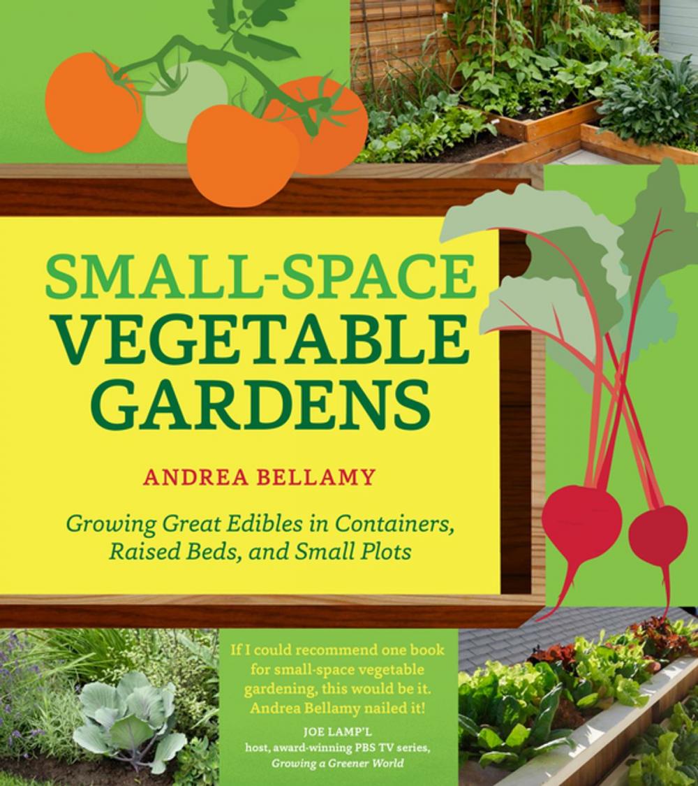 Big bigCover of Small-Space Vegetable Gardens