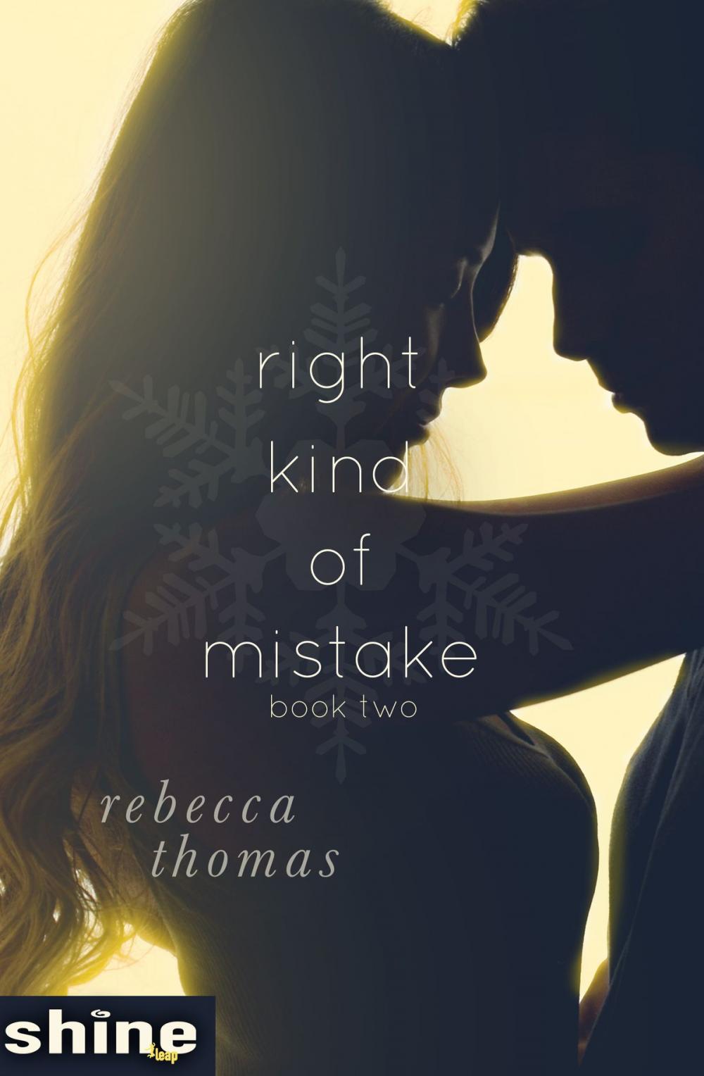 Big bigCover of Right Kind of Mistake: Book Two