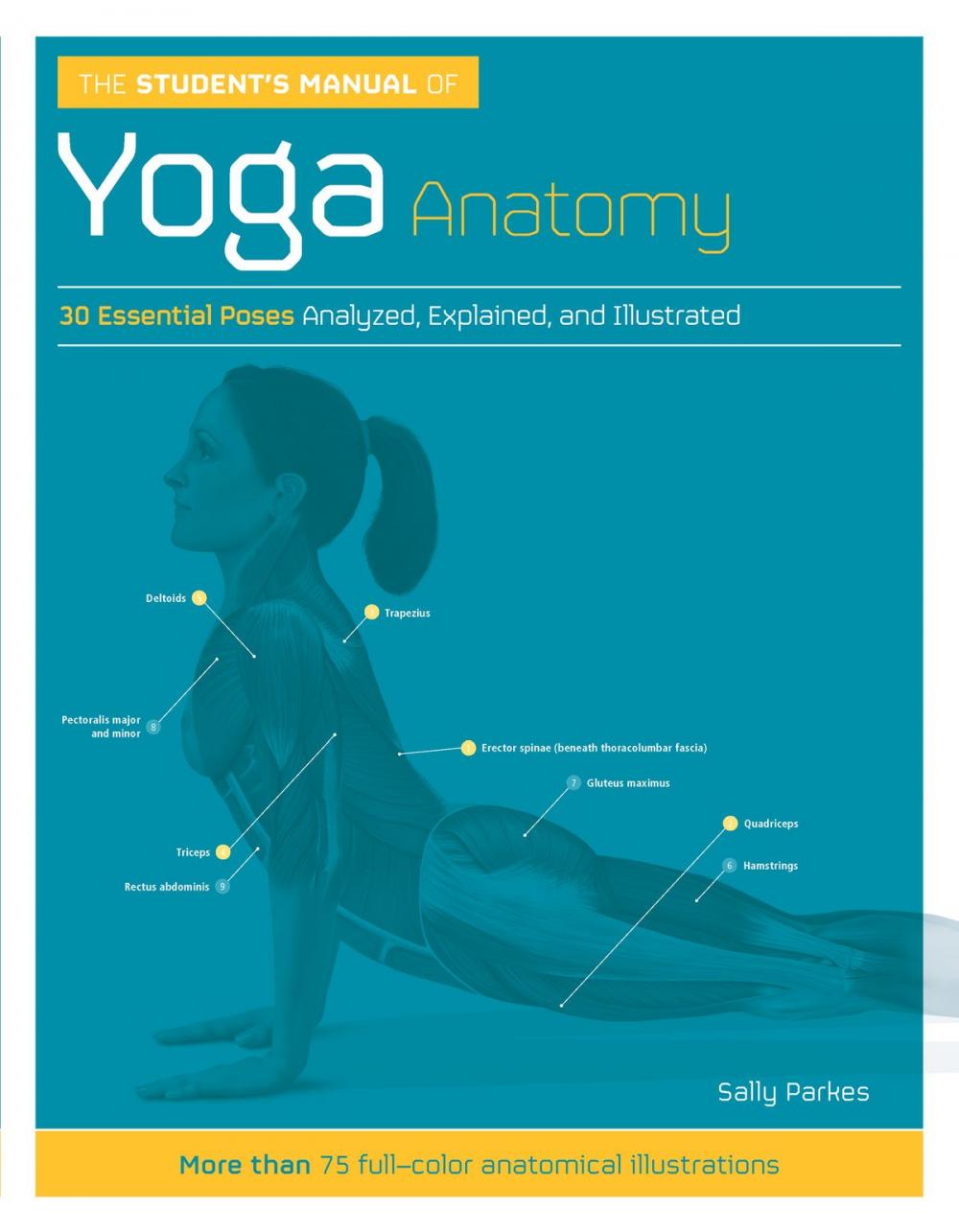 Big bigCover of The Student's Manual of Yoga Anatomy