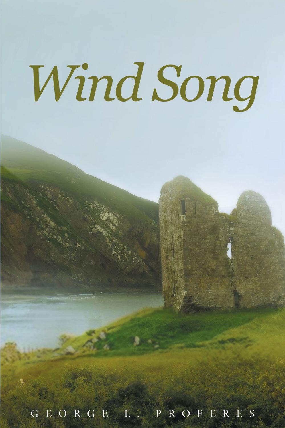 Big bigCover of Wind Song