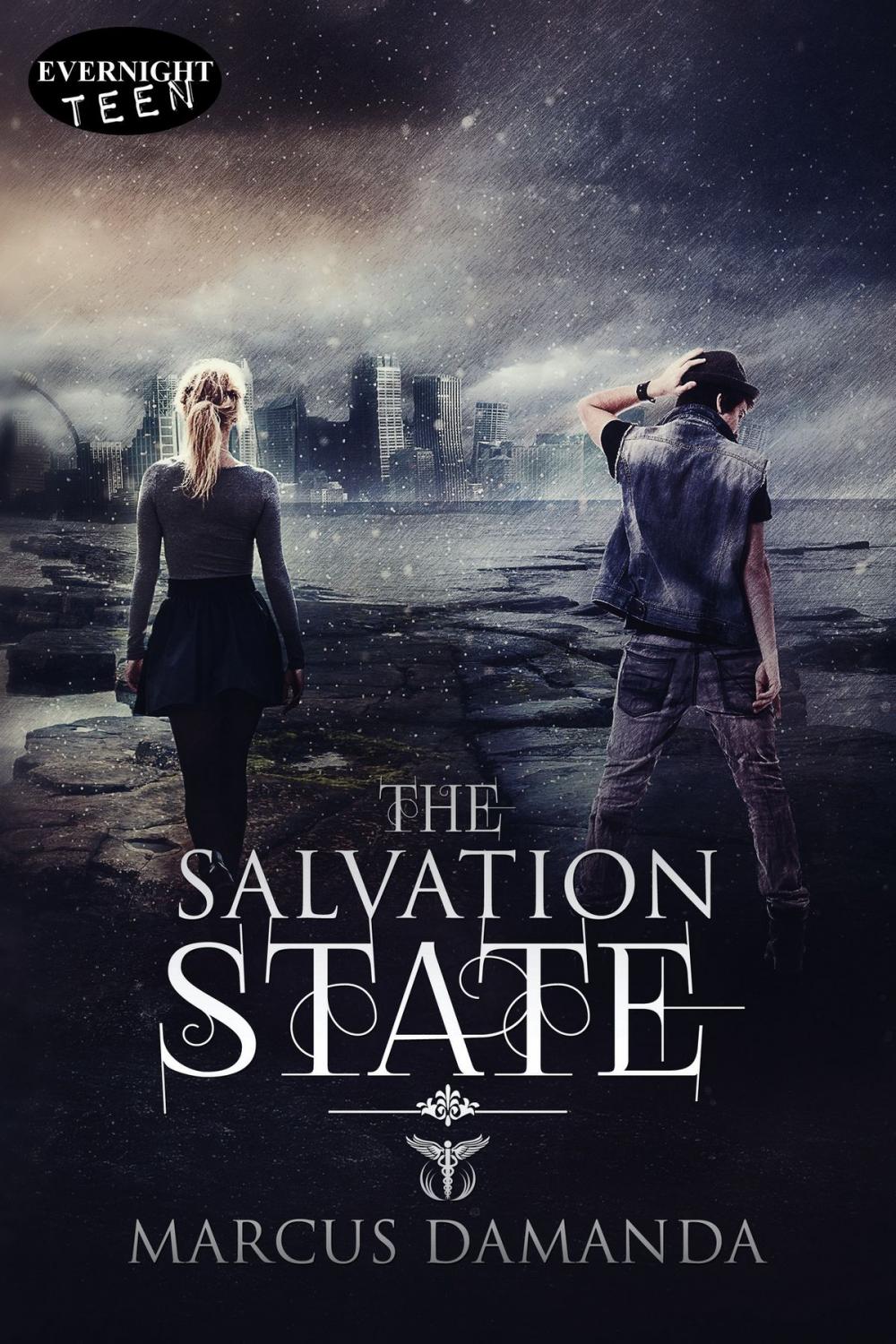 Big bigCover of The Salvation State