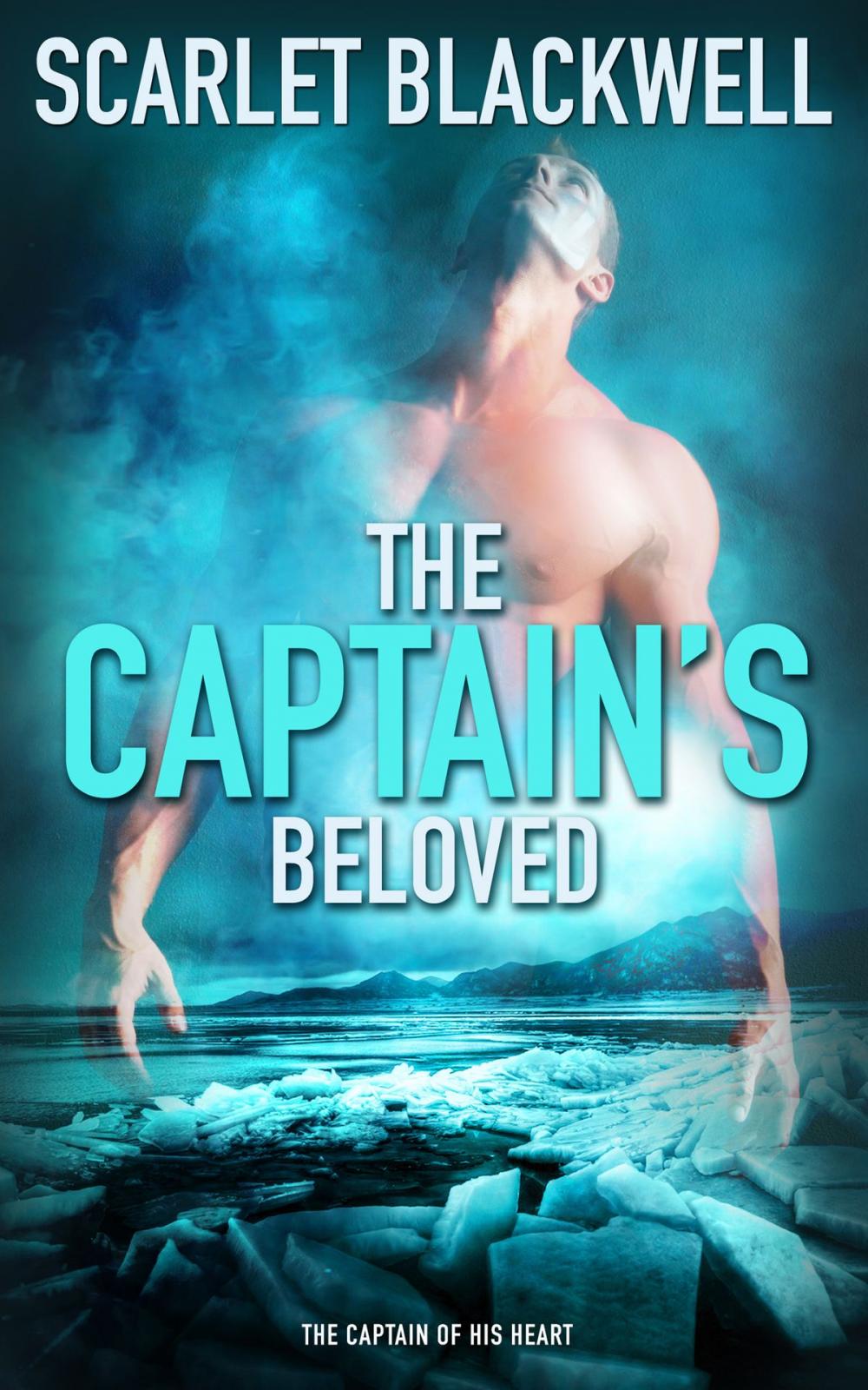 Big bigCover of The Captain's Beloved