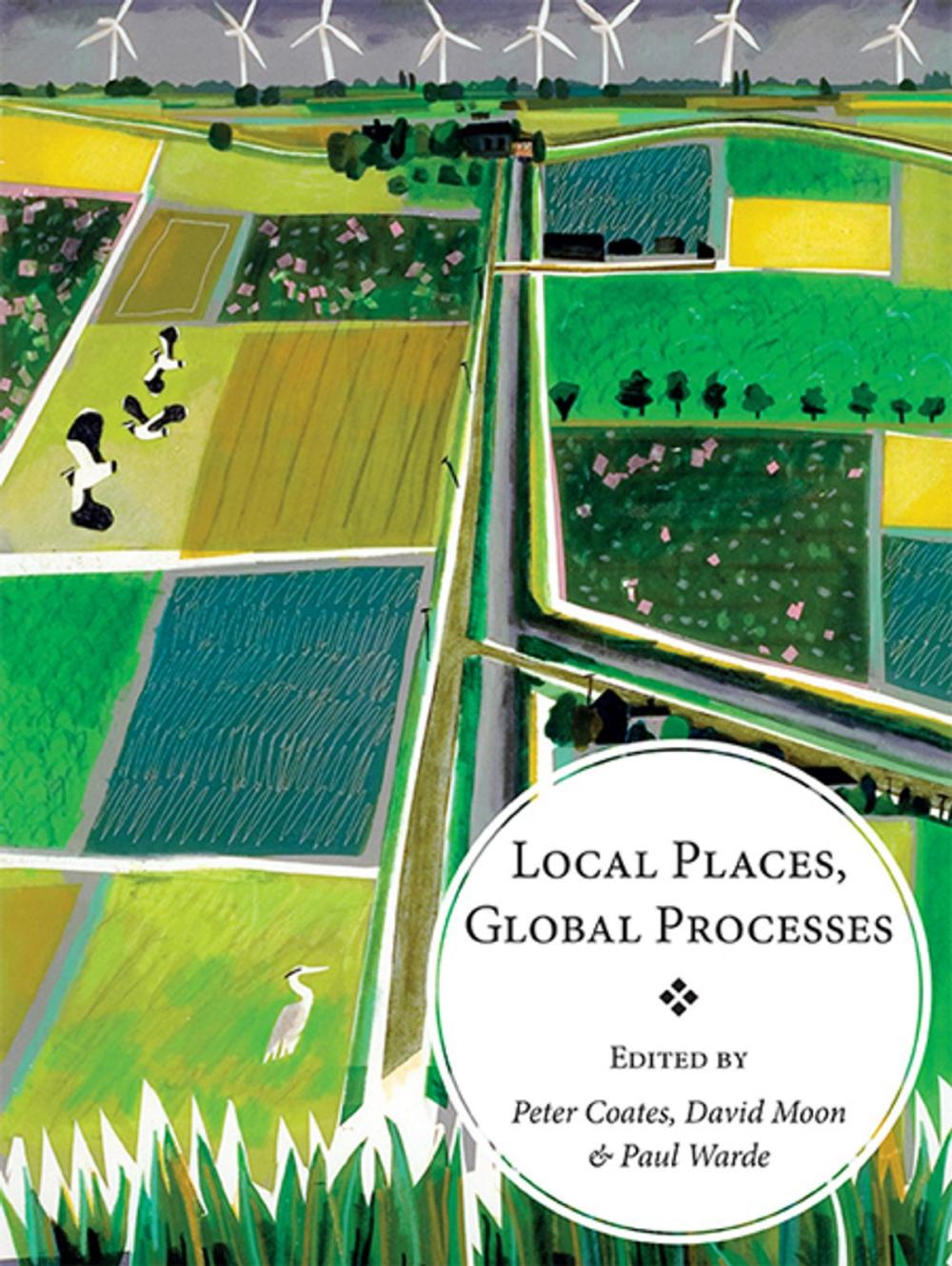 Big bigCover of Local Places, Global Processes