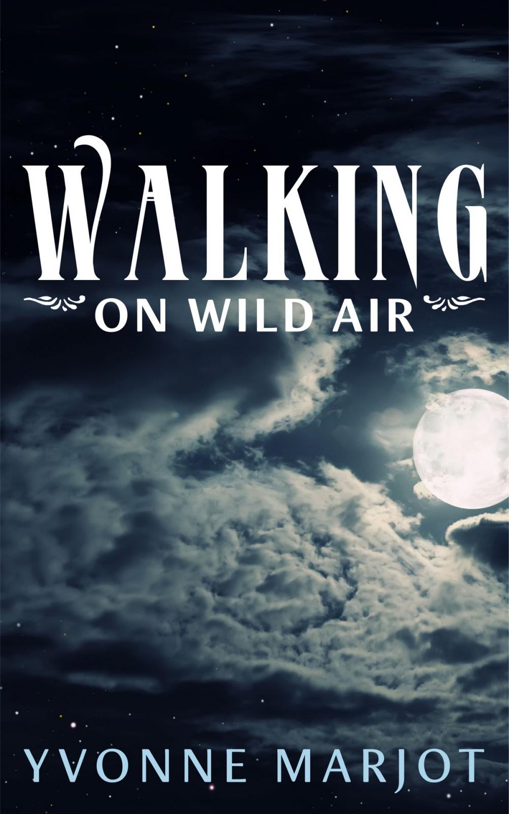 Big bigCover of Walking on Wild Air