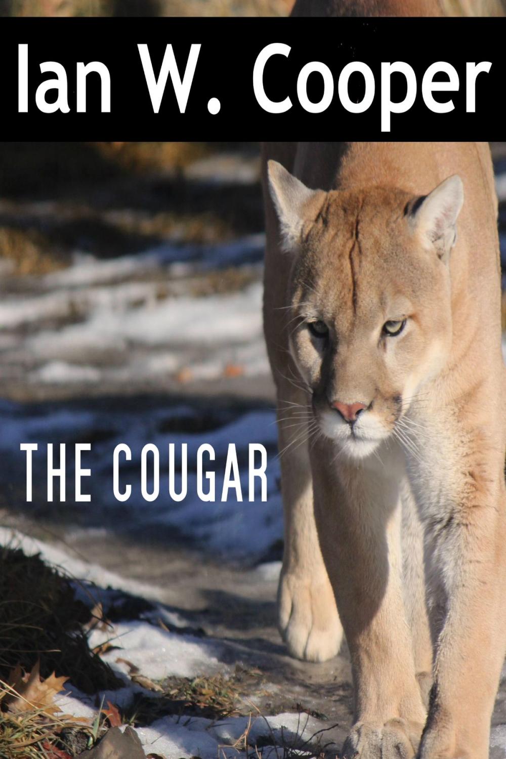 Big bigCover of The Cougar