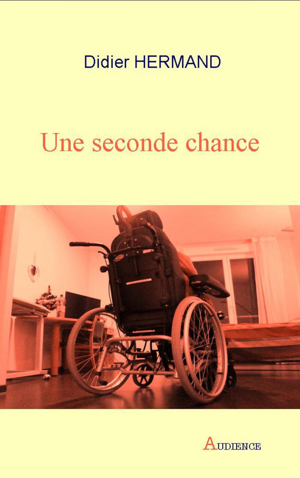 Big bigCover of Une seconde chance