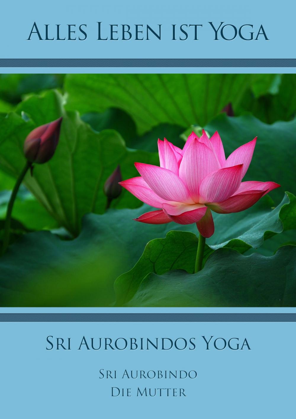 Big bigCover of Sri Aurobindos Yoga