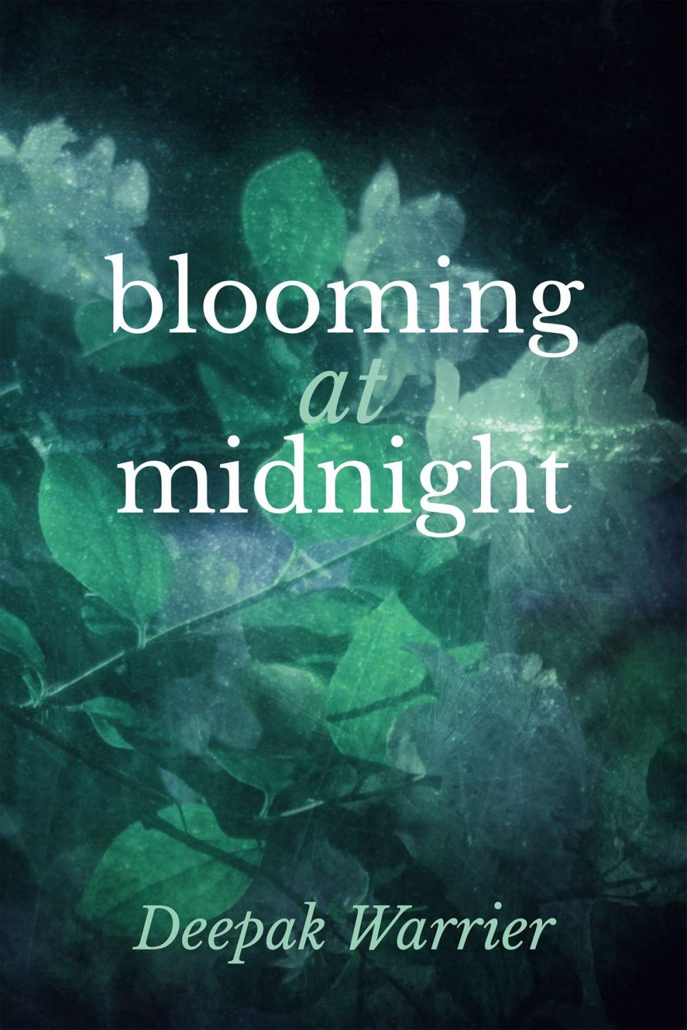 Big bigCover of Blooming at Midnight