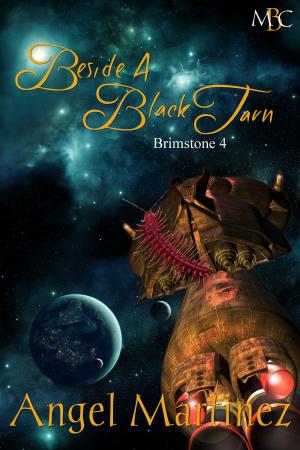 Cover of the book Beside a Black Tarn by Mathilde Watson