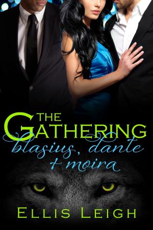 Cover of the book The Gathering Tales: Blasius, Dante, and Moira by Michelle McGriff