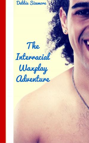Book cover of The Interracial Waxplay Adventure