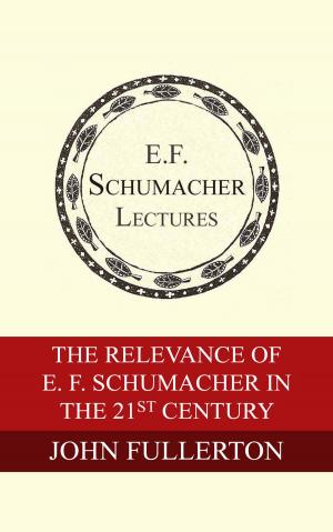 Cover of the book The Relevance of E. F. Schumacher in the 21st Century by Juliet B. Schor, Hildegarde Hannum