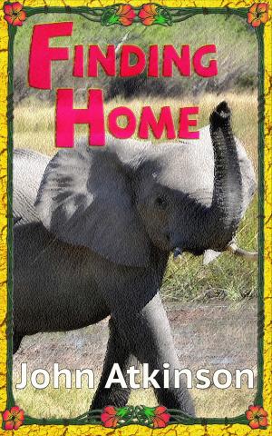Cover of the book Finding Home by Kate Jerome, Kate Boehm Jerome