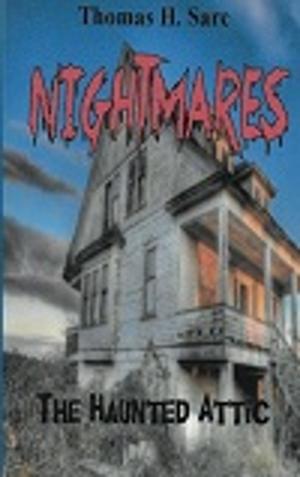 Book cover of The Haunted Attic